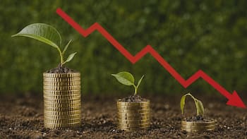 Se acaba la moda de los ‘bonos verdes’ en la BMV: el mercado ahora exige cuentas claras y menos medallas