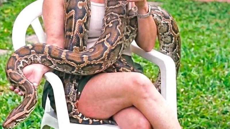 Buscan una boa perdida en Colegiales. Foto: gentileza.