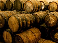 Descubren en España la bodega más antigua de Europa: producía vino hace 5000 años