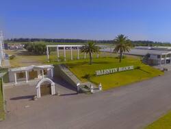 Una histórica bodega se queda sin CEO mientras regulariza su situación financiera