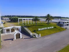 Una histórica bodega se queda sin CEO mientras regulariza su situación financiera