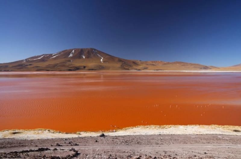 La Laguna Colorada, en Bolivia