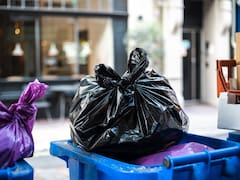 Fin a las bolsas de basura: el Gobierno informó que marcas engañan el cliente