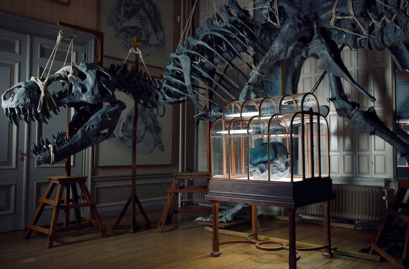 Jurasic Park pero en la vida real: subastan un bolso de “cuero de Tiranosaurio rex” valorado en más de medio millón de euros.