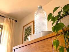 Colocar una botella de plástico con agua congelada en un rincón alto de la casa: para qué sirve el método alemán y por qué es tan recomendado