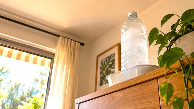 Colocar una botella de plástico con agua congelada en un rincón alto de la casa: para qué sirve el método alemán y por qué es tan recomendado