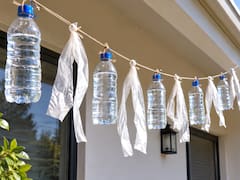 Colgar una botella de plástico con agua afuera de la casa: para qué sirve y por qué se usa en tantos países del mundo