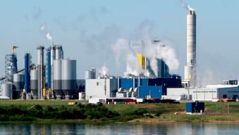 Ministerio de Ambiente analiza el pedido de UPM para aumentar la producción en Fray Bentos