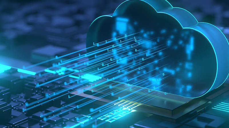 Un dato que preocupa: alrededor del 80% de las organizaciones no han realizado copias de seguridad o no lo hacen con suficiente regularidad.