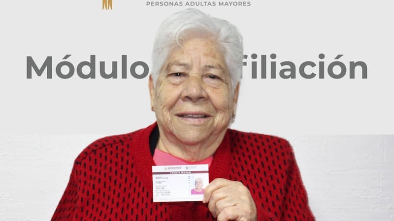 El INAPAM ya no funcionará igual: confirman nuevos descuentos y publican la lista completa (foto: archivo).