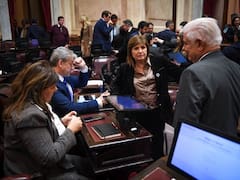 Otro golpe para Milei: se cayó por cuarta vez Propiedad Privada por falta de acuerdo sobre la Ley de Tierras