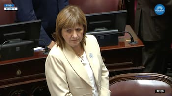 Senado: tras pausar las internas, el oficialismo busca avanzar con dos proyectos clave