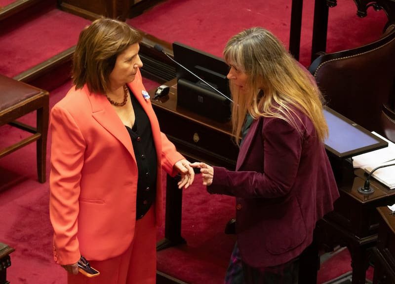 NOTICIAS ARGENTINAS
BAIRES, JUNIO 4:El Senado sesionará hoy para tratar el proyecto de propiedad privada que elimina las restricciones para que los empresarios extranjeros puedan comprar tierras rurales y contempla los desalojos “exprés” de aquellas viviendas o terrenos que hayan sido usurpadas. Patricia Bullrich, Juliana Di Tullio. FOTO NA: CLAUDIO FANCHI