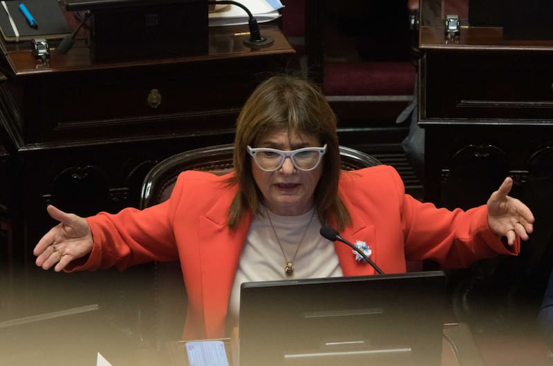 “Esta casa de la democracia no merece que usted nombre a ese cartel nefasto donde seis millones de vidas fueron incineradas”, criticó Bullrich.