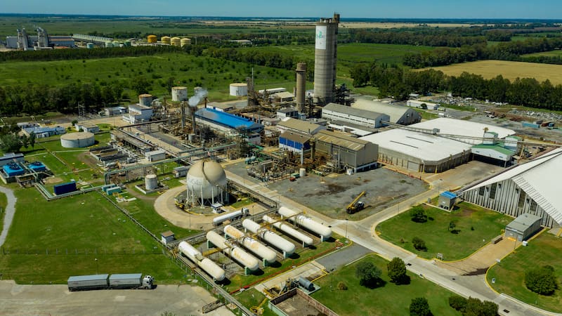 Bunge Campana