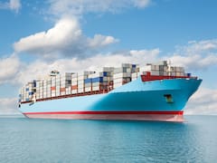 Los 16 sectores de la economía donde las importaciones ya coparon la actividad