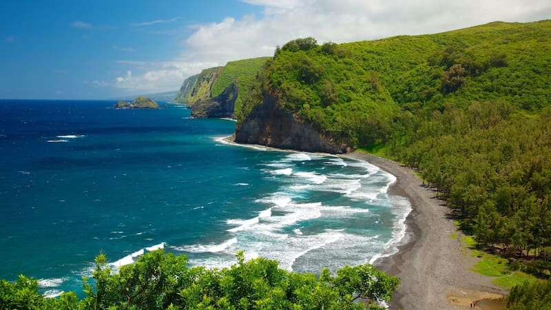 Buscan voluntarios en Hawái: ofrecen hospedaje gratis en una isla paradisíaca por menos de 4 horas de trabajo al día