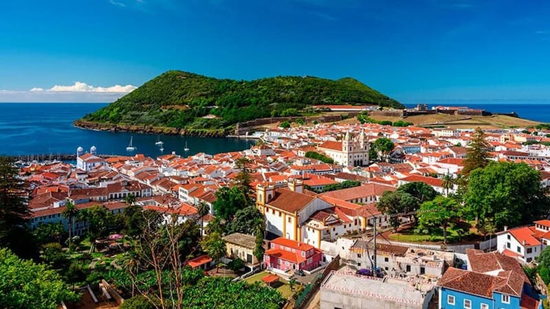Buscan voluntarios en Portugal.