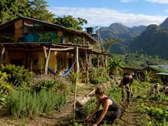 Buscan voluntarios para pasar el verano en Brasil: ofrecen alojamiento y la posibilidad de vivir gratis en destinos paradisíacos