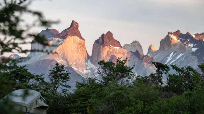 Buscan voluntarios para trabajar en la Patagonia: ofrecen hospedaje, comidas y transporte por menos de 20 horas semanales