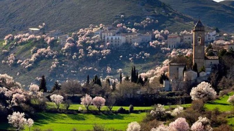 Buscan voluntarios para vivir gratis entre las montañas y ofrecen trabajo asegurado