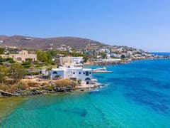 Buscan voluntarios para vivir gratis en una isla de Europa y cuidar gatos: ofrecen alojamiento, desayuno y solo 5 horas de trabajo por día