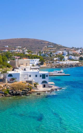 Buscan voluntarios para vivir gratis en una isla de Europa y cuidar gatos: ofrecen alojamiento, desayuno y solo 5 horas de trabajo por día
