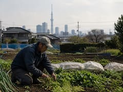Buscan voluntarios para vivir y trabajar en zonas rurales de Tokio: ofrecen ingresos para toda la familia y aceptan extranjeros