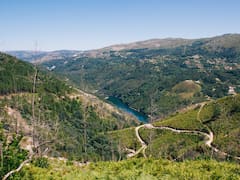Buscan voluntarios que quieran vivir entre montañas, bosques de robles y castaños en España: ofrecen trabajo y piden quedarse 24 meses