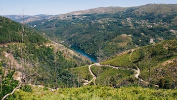 Buscan voluntarios que quieran vivir entre montañas, bosques de robles y castaños en España: ofrecen trabajo y piden quedarse 24 meses