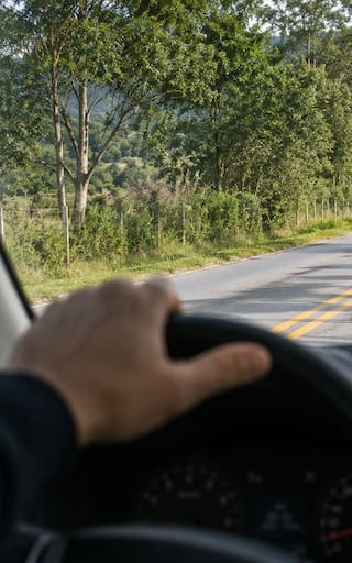 Qué hacer si encuentra un caballo en medio de la carretera y por qué es importante saber cómo actuar