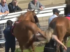 Una mujer recibió una impactante patada de un caballo durante una carrera deportiva