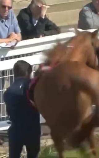 Una mujer recibió una impactante patada de un caballo durante una carrera deportiva