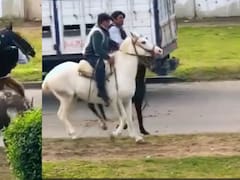 Dos jinetes se pelearon “a los rebencazos” en pleno festejo del 25 de mayo