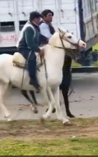 Dos jinetes se pelearon “a los rebencazos” en pleno festejo del 25 de mayo