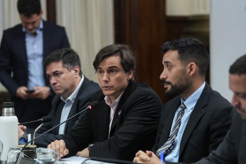 Cacace Diputados
