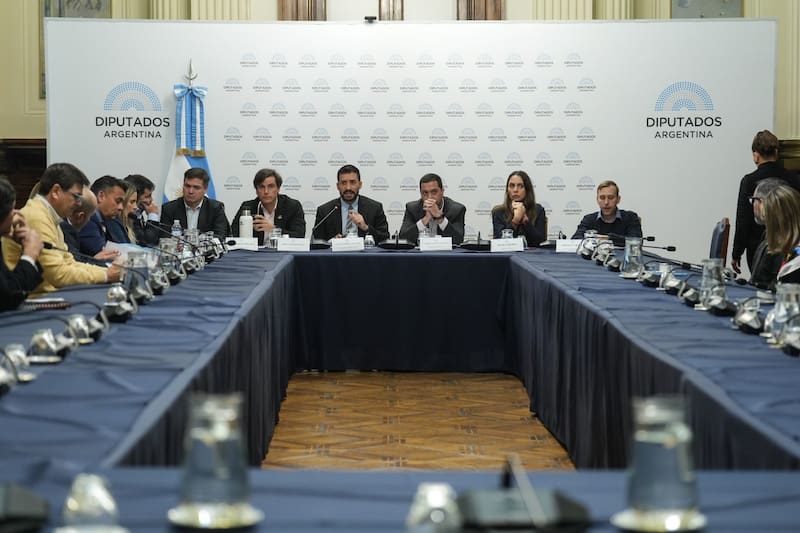 Cacace Diputados