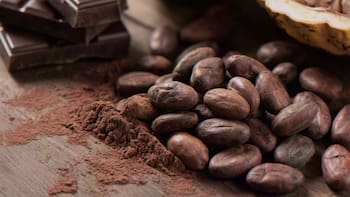 Qué diferencia hay entre el cacao y la cocoa: en qué casos usar cada uno