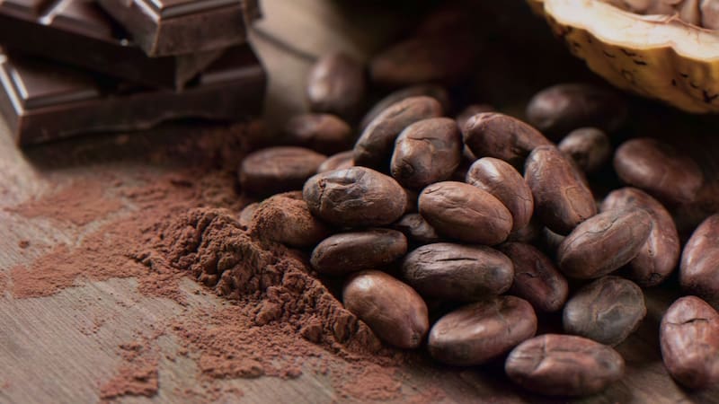 Qué diferencia hay entre el cacao y la cocoa: en qué casos usar cada uno