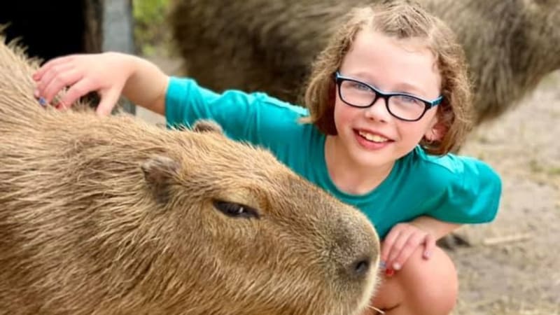 La joven destina las ganancias de su puesto de limonada a organizaciones dedicadas al rescate y protección animal.