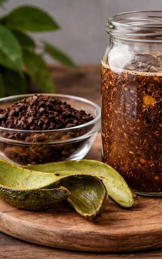 Mezclar café usado con cáscara de palta y agua | Para qué se utiliza y por qué lo recomiendan