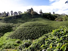 El pueblo colombiano que lleva el nombre de una histórica ciudad española y hoy conquista con sus cafetales y arquitectura colonial