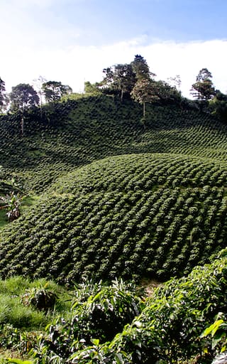 El pueblo colombiano que lleva el nombre de una histórica ciudad española y hoy conquista con sus cafetales y arquitectura colonial