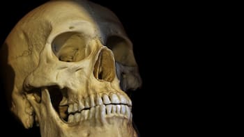 El descubrimiento del siglo: el hallazgo de un ancestro humano cambia por completo la historia de la evolución