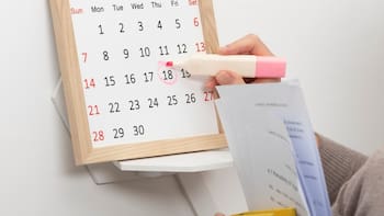 ¿Qué se celebra hoy? calendario completo de efemérides, días mundiales y fechas clave en Argentina y el mundo, mes por mes