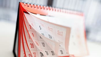 El 11 de noviembre todo el país corta semana: según el calendario oficial es feriado, cierran los bancos y se adelantan pagos de seguridad social
