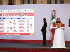 Calendario de pagos bimestre noviembre-diciembre | Estas son todas las fechas de depósito para las pensiones