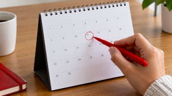Feriado confirmado para noviembre 2026: caerá un miércoles y rige para absolutamente todos los estados del país