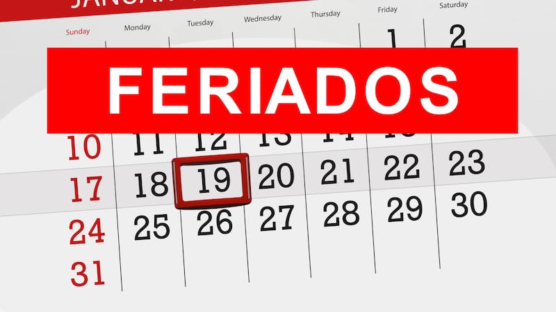 Calendar planner for the month january 2021, deadline day, 19, tuesday.