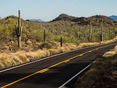 En 2020, Phoenix pintó 58 km de calles para solucionar el calor extremo: el asfalto bajó 7 °C, pero nadie pensó en los peatones